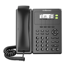  IP телефон FLYINGVOICE P10W 