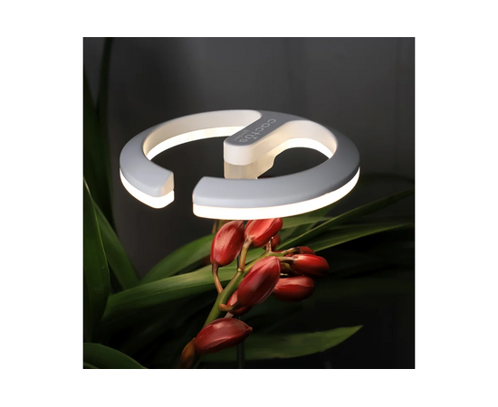 Светильник для растений Cactus Garden CS-LED-ORCHID 7.5Вт, белый 