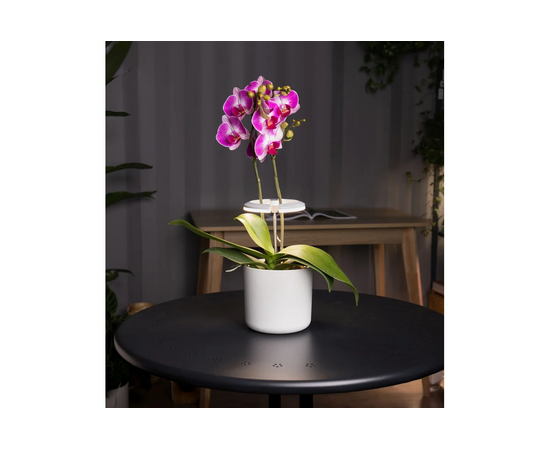  Светильник для растений Cactus Garden CS-LED-ORCHID 7.5Вт, белый 